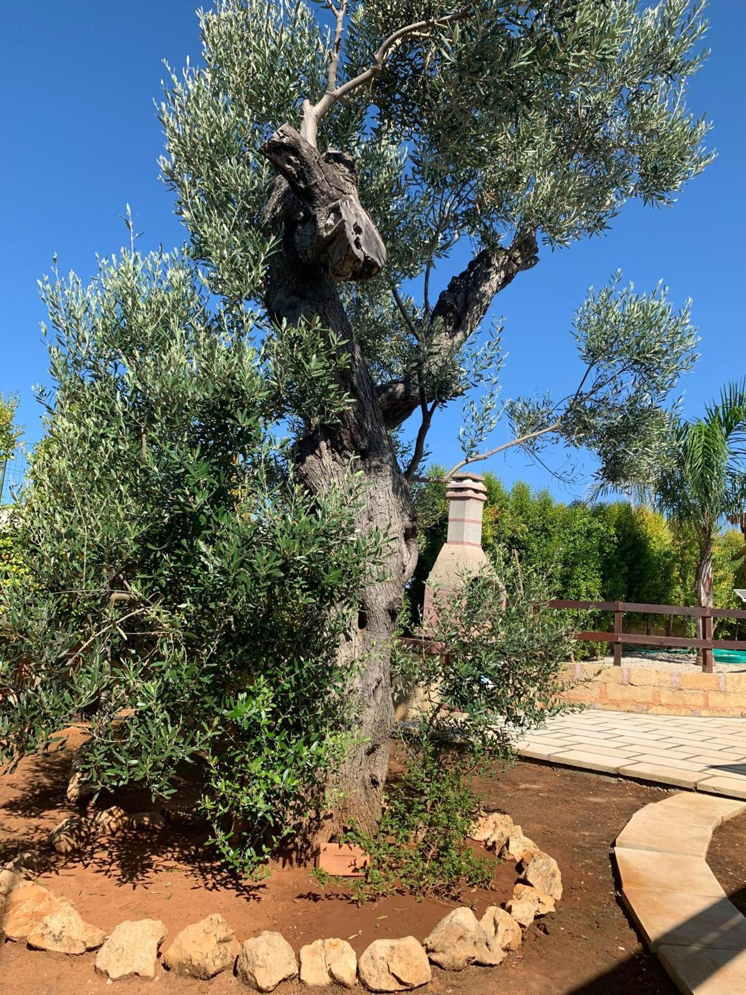 Villetta Mari Con Piscina Esclusiva Nel Salento Capilungo Экстерьер фото